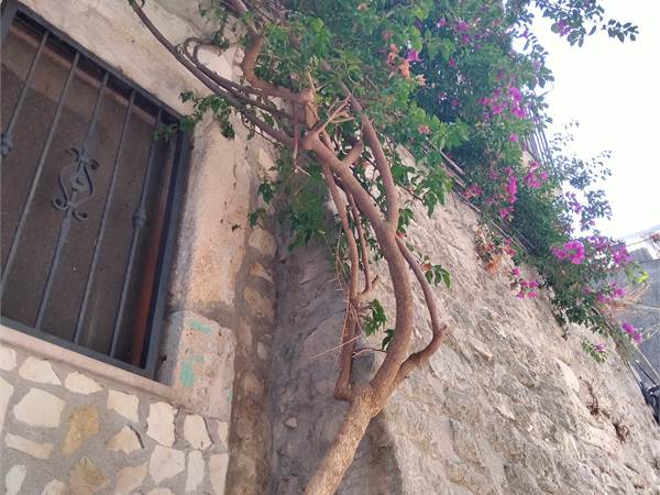 Appartamento in vendita a Vico del Gargano